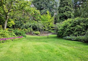 Optimiser l'expérience du jardin à Marmont-Pachas